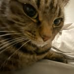ben crate - @benbonk.542224567544 - Instagram