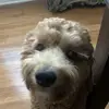 benbonk83 - @benbonk83 - TikTok