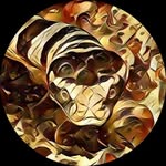 Ben Bonte - @benbonte72 - Instagram