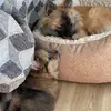 Ben_Boo_2 - @ben_boo_2 - TikTok