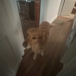 Ben Reinoso - @ben_book1522 - Instagram