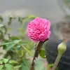 benboo - @benboo32 - TikTok