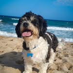 Ben - @ben_boomer_ - Instagram