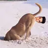 Ben Boomer - @youre_not_y0ur - TikTok
