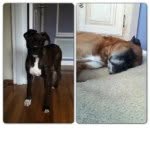 Ben&Boomer - @benandboomer - Instagram