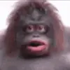 benboomer - @moviestarplaneten - TikTok