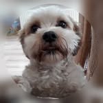 boomer - @ik_ben_boomer - Instagram