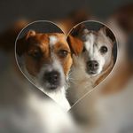 Ben Borchers - @benborchers1946 - Instagram