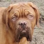 Benjamin - @ben_de_bordeaux - Instagram