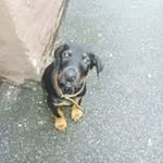 Ben Borki - @benborki - Instagram