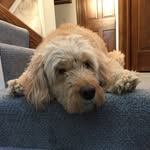 Ben Borkowski - @benborkowski - Instagram