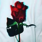 selam ben bok - @ben_borkun - Instagram