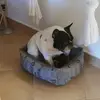 Ben Borthwick683 - @ben.trw - TikTok