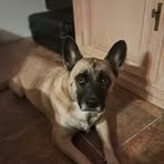 Ben Borthwick - Facebook