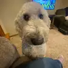 benbotGD - @benbotgd - TikTok