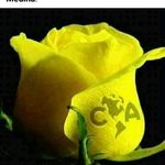 Benja botello - @benja.botello - Instagram
