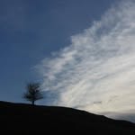 Ben Boucher - @shabuzel - Instagram