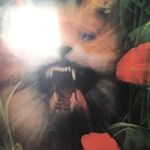 Ben Bourke - @maynard_bourke - Instagram