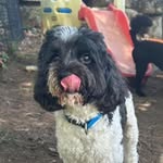 Ben Bowie - @_ben_bowie_ - Instagram