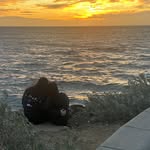 Ben Bowyer - @ben.bowyer.7 - Instagram