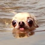 Ben Lee - @benbox - Instagram