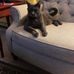 Benjamin E Box - Facebook