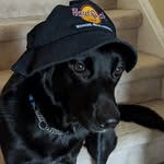 Ben - @benboyden_ - Instagram