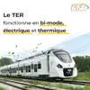 benboye - @user34960318724632 - TikTok