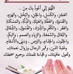Badih Ben Ahmed - Facebook