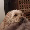 benbracken09 - @ben.bracken - TikTok