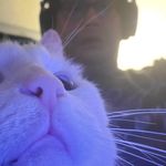 Ben Brackett - @rocketiza - Instagram
