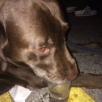 Ben Brackett - @bhbrackett - Instagram