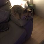 Ben Braithwaite - @ben_braithwaite_27904 - Instagram