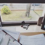 Ben Braschoss - @braschossben - Instagram