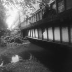 Pictures_by_some_kids - @braunsteinben2018 - Instagram