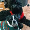 Benny and Braxton - @benny_braxton - TikTok