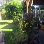 Jill Brayton-Wibbenhorst - @braytonwibbenhorst - Instagram