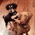 B&B - @ben_and_breauxdy - Instagram