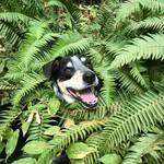 Ben Breckenridge - @benbreck - Instagram