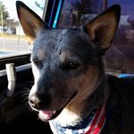 Ben Breedlove - @ben.breed_love.3 - Instagram