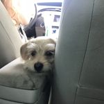 Ben Breese - @bountygamer304 - Instagram