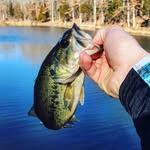 __benbreeze__ - @fresh_water_love - Instagram