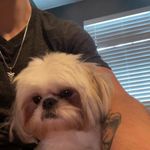 Ben Brenner - @ben__brenner - Instagram