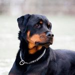 ben brenner - @ben___brenner - Instagram