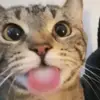 ben_brethauer - @ben.brethauer - TikTok