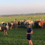 Ben Brice - @benbrice1 - Instagram