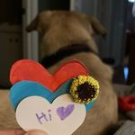 Benjamin Bridwell - @benofhorses - Instagram