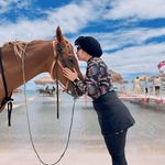 Ben Brik Hayfa - @ben_brik_hayfa - Instagram