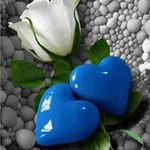 Yousra Ben Brik - @benbrikyousra - Instagram