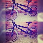 benjamin - @ben_brindle1669 - Instagram
